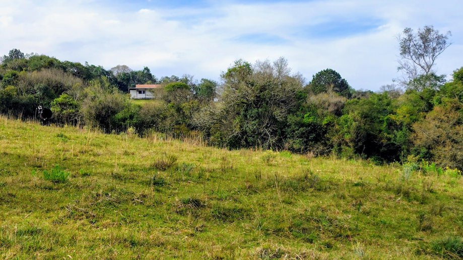 Rural com 2 Quartos à Venda, 20.000,00 m² - Foto 16