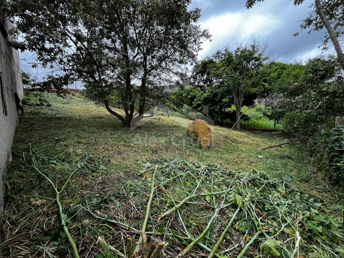 Terreno à Venda, 340,00 m² - Foto 3