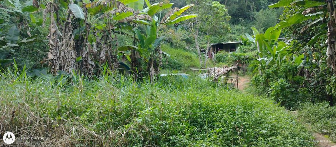 Terreno à Venda, 20.000,00 m² - Foto 7