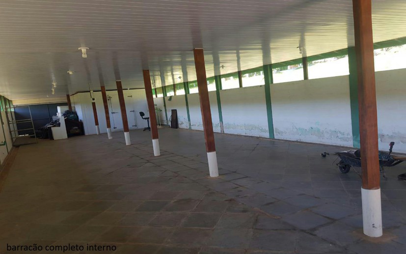 Rural com 7 Quartos à Venda - Foto 4