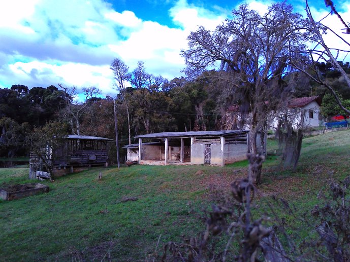 Rural com 3 Quartos à Venda, 24.946,87 m² - Foto 46
