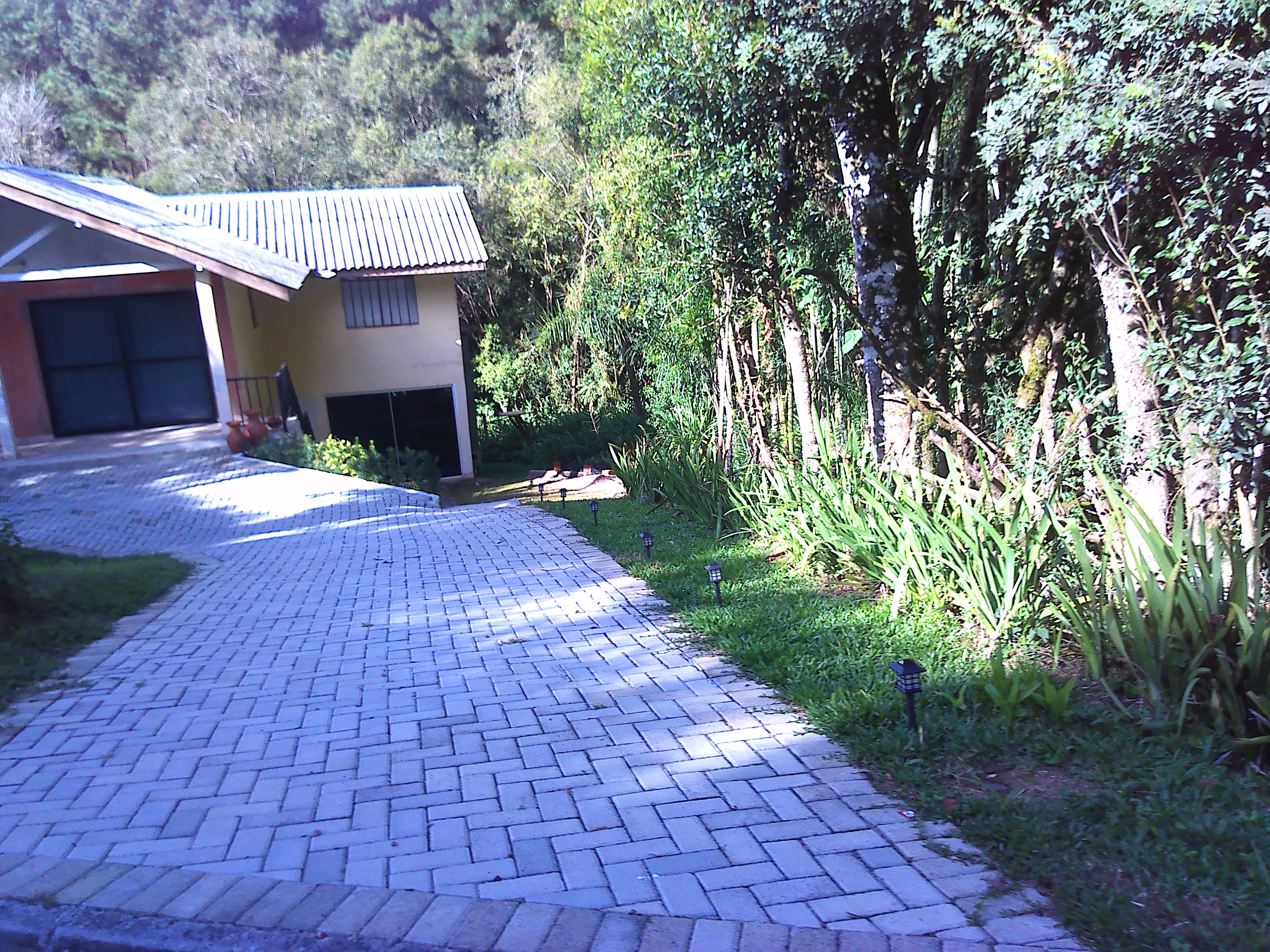 Rural com 3 Quartos à Venda, 1.237,22 m² - Foto 13