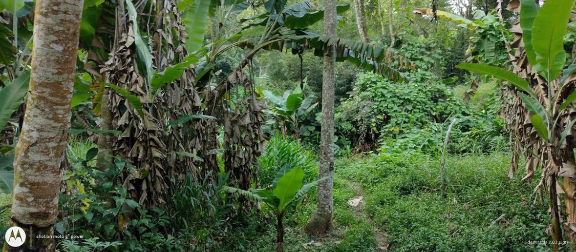 Terreno à Venda, 20.000,00 m² - Foto 11