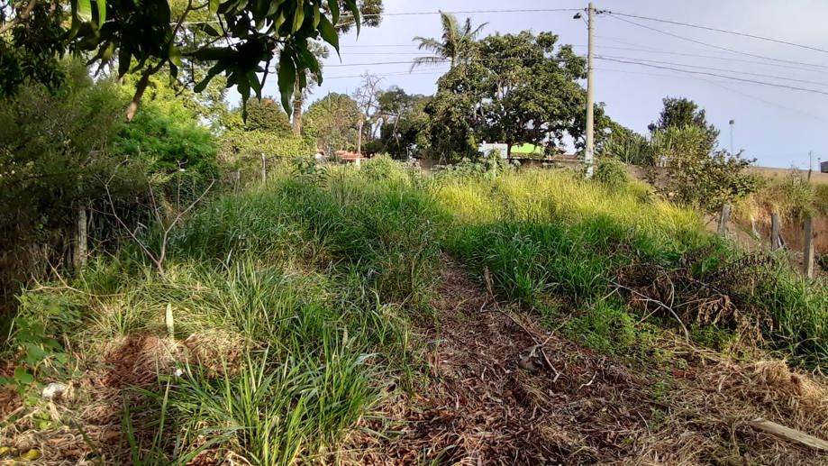 Terreno à Venda, 300,00 m² - Foto 16