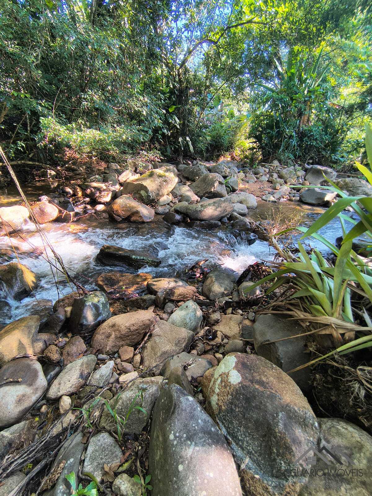 Rural à Venda, 84.700,00 m² - Foto 2