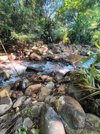Rural à Venda, 84.700,00 m² - Foto 2