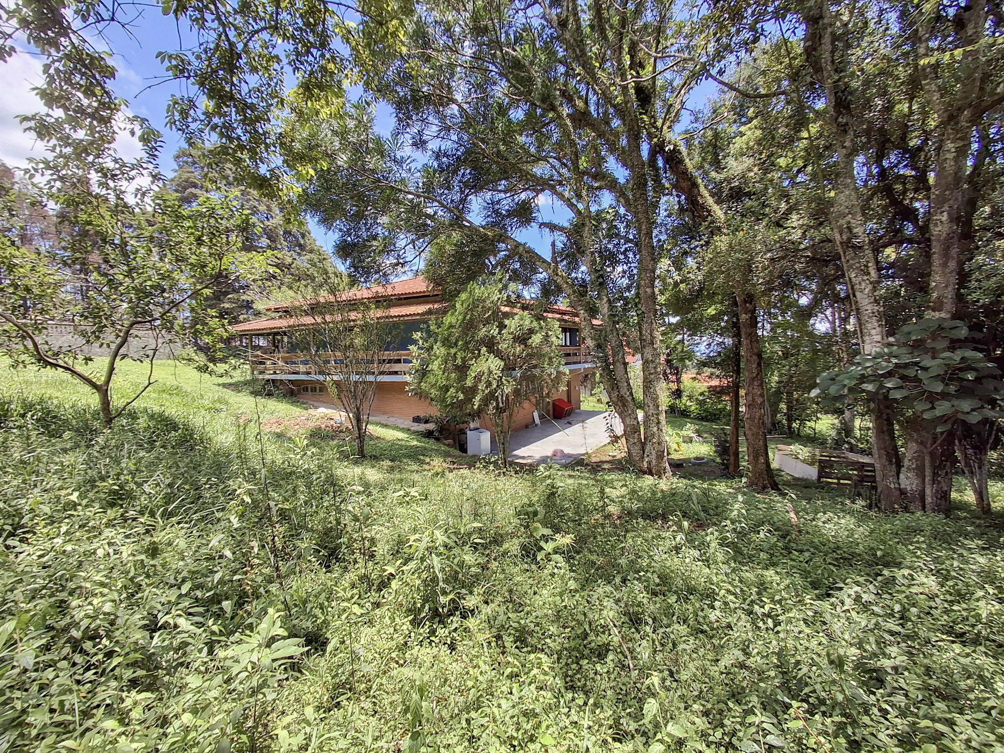 Rural com 3 Quartos à Venda, 5.400,00 m² - Foto 8