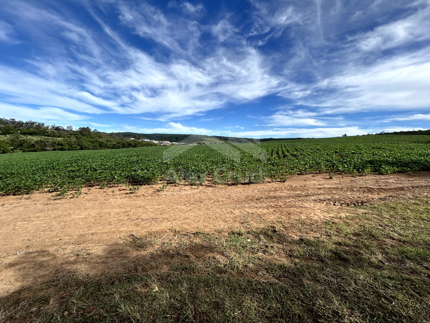 Rural com 8 Quartos à Venda, 242.000,00 m² - Foto 26