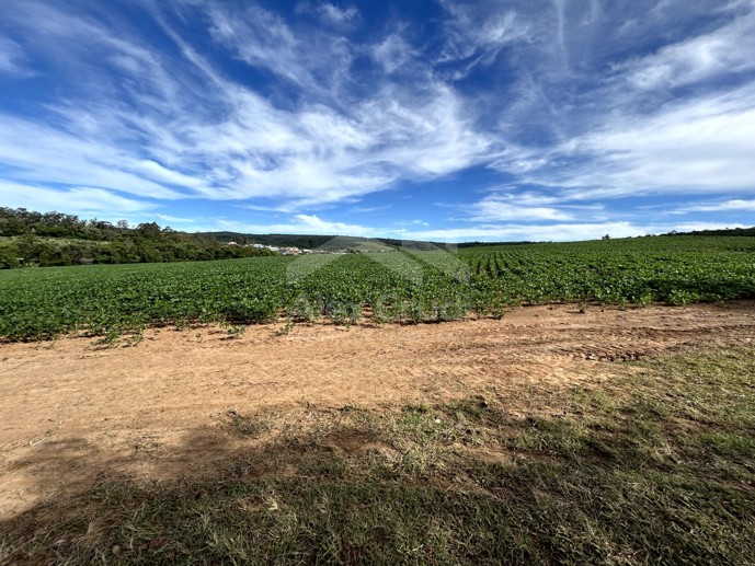 Rural com 8 Quartos à Venda, 242.000,00 m² - Foto 2