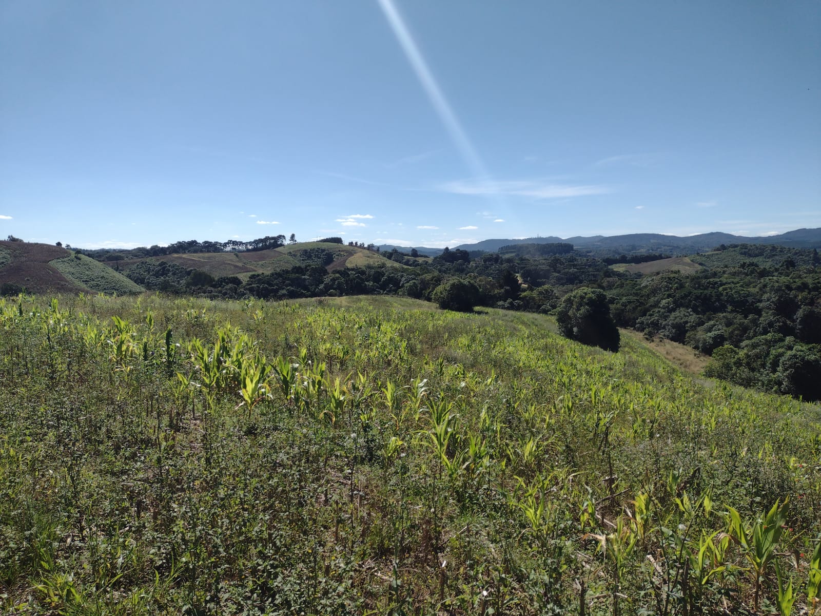 Terreno à Venda, 4.864,18 m² - Foto 2